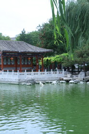 公园风景 