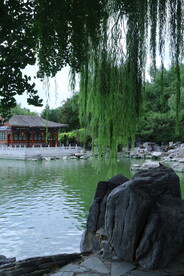 公园风景