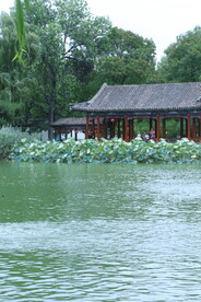 公园风景 