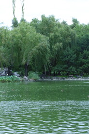 大观园风景 