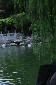 公园风景 