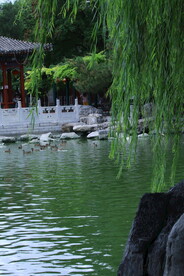 公园风景 