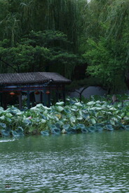 公园风景