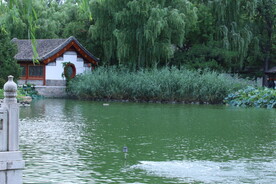 公园风景