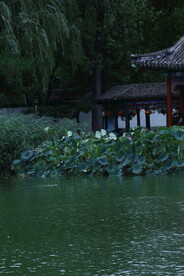 公园风景 