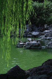 公园风景
