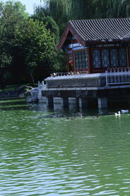 公园风景