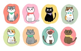 卡通猫