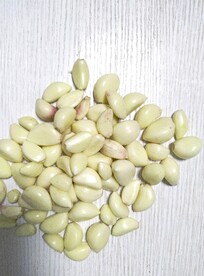 新鲜食材