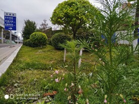 风景图片