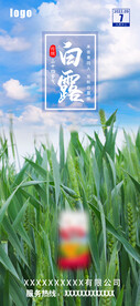 白露