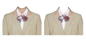 女款休闲女西装