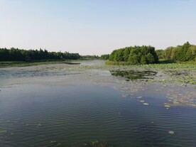 湿地公园风光