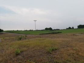 草地公园