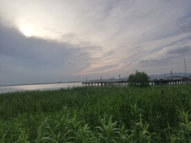 湿地公园江景风光朝霞