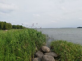 沿江风光草地