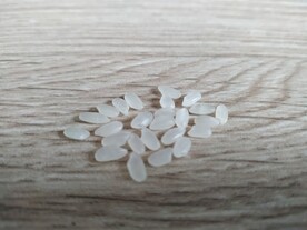 珍惜粮食图片