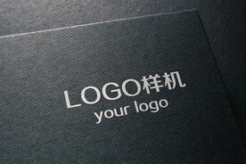 LOGO样机