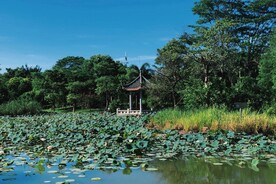 公园