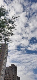 秋高气爽