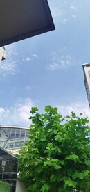 秋高气爽