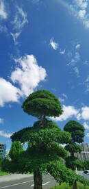 秋高气爽