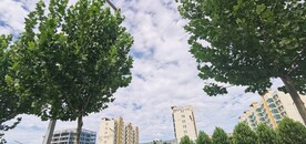 秋高气爽