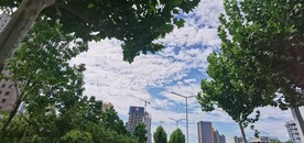 秋高气爽