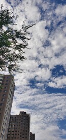 秋高气爽