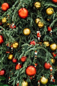 圣诞树            