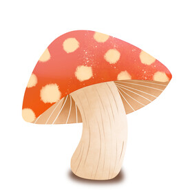 蘑菇