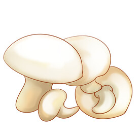 蘑菇