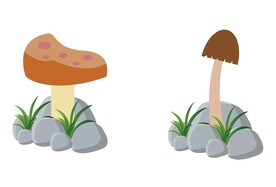 蘑菇