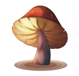 蘑菇