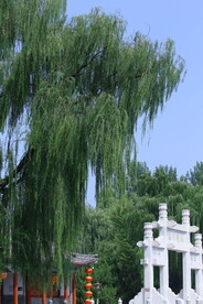 公园风景