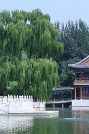公园风景 