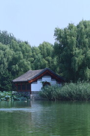 公园风景