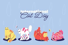 卡通猫