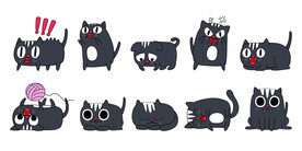 卡通猫