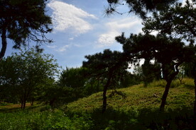 公园风景