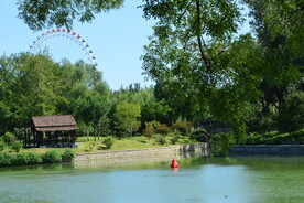 公园风景 