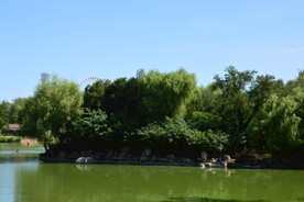 公园风景