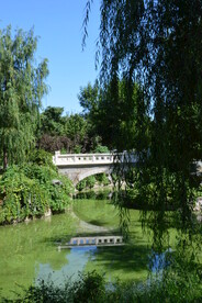 公园风景 