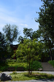 公园风景 