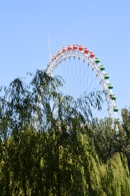 公园风景