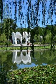 公园风景 