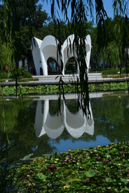 公园风景 