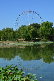 公园风景