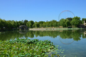 公园风景