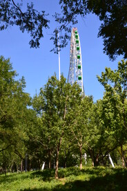 公园风景 